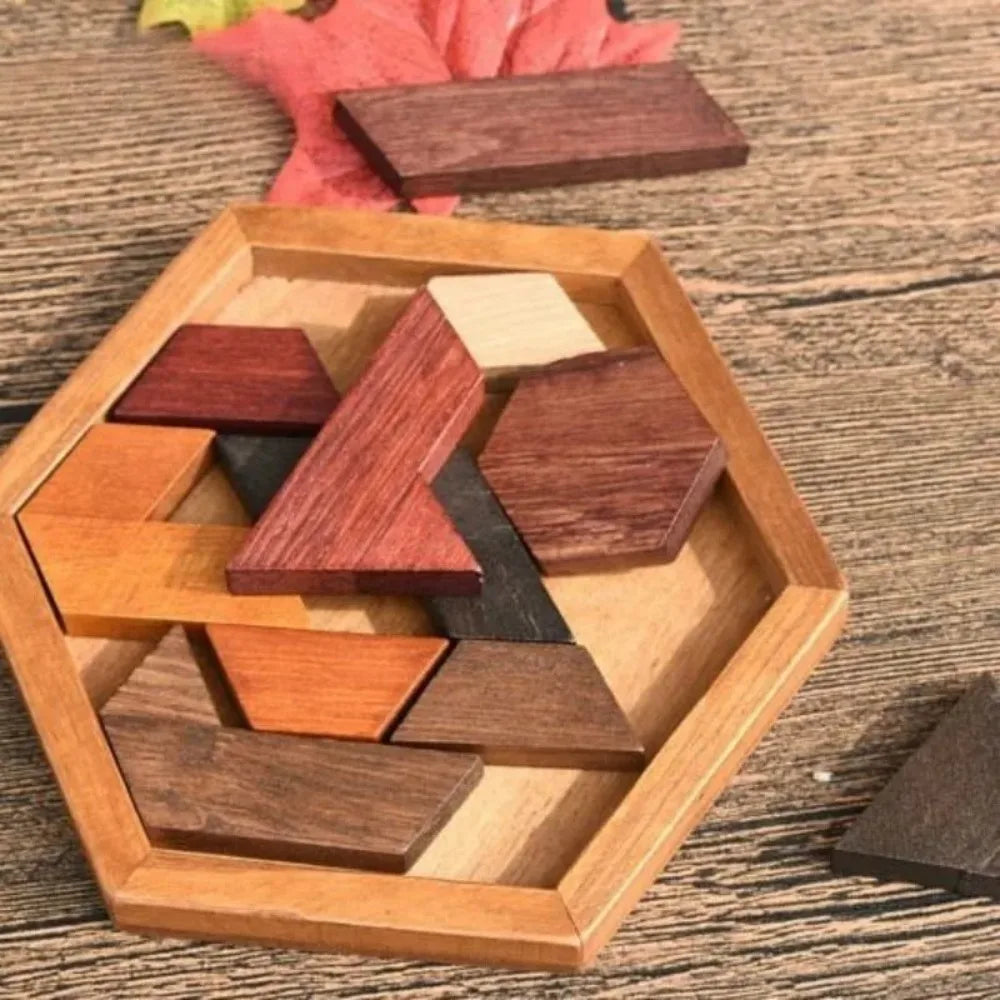 Wooden Geometric Shape Jigsaw Board Puzzles Kids Brain Teaser Non Toxic Wood Toys for Children Educational Puzzle Toys